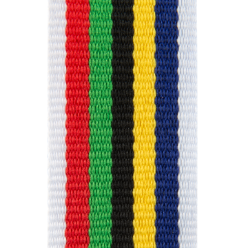 G.V2.RAINB