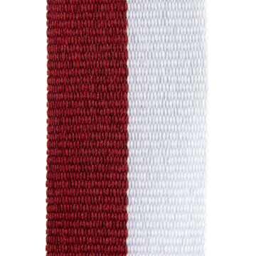 G.V2.BU-WI